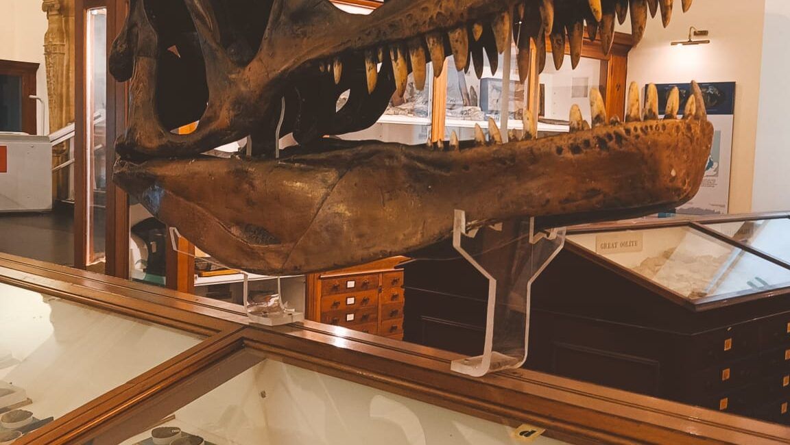 museo sedgwick cambridge, museos de Londres