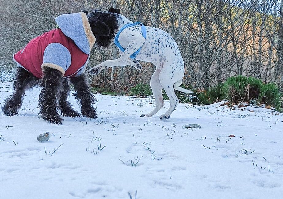 Ezcaray, nieve