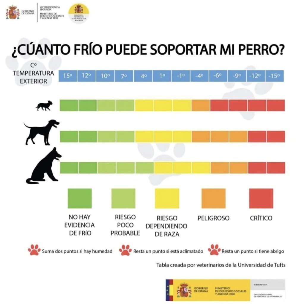 el frio en los perros