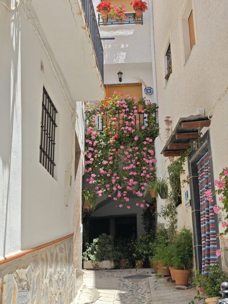 soportújar