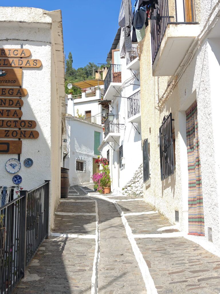pampaneira