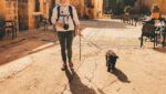 pueblos más bonitos, requisitos para viajar con perro