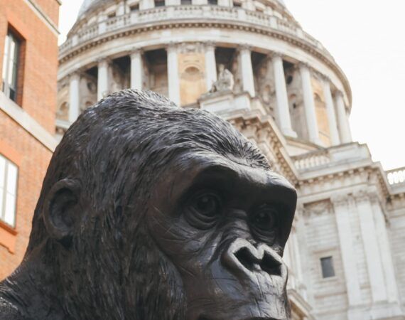 guía esencial de Londres, St Paul's Cathedral