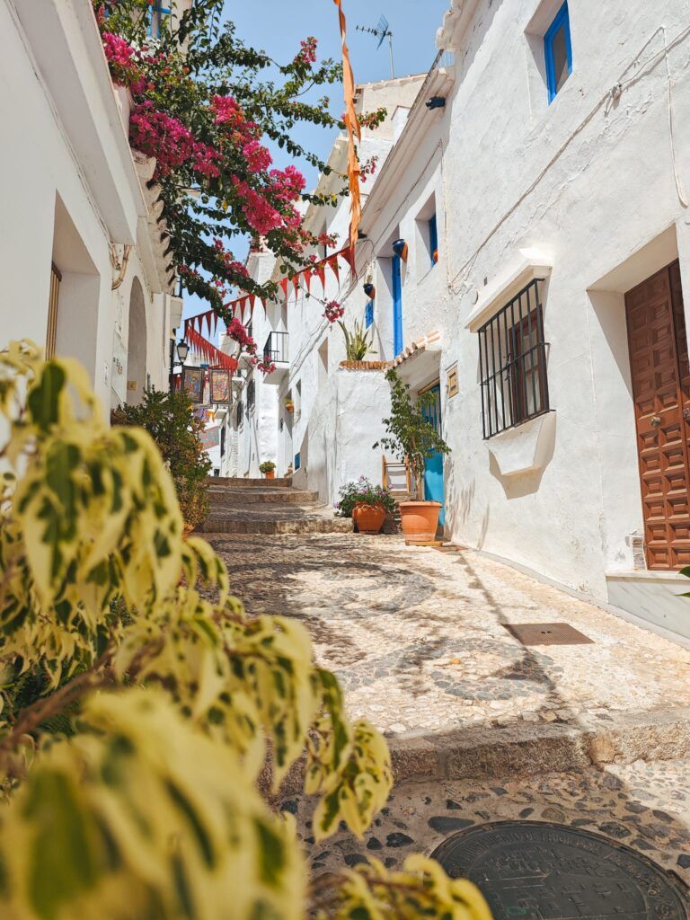 10 cosas que ver y hacer en Frigiliana