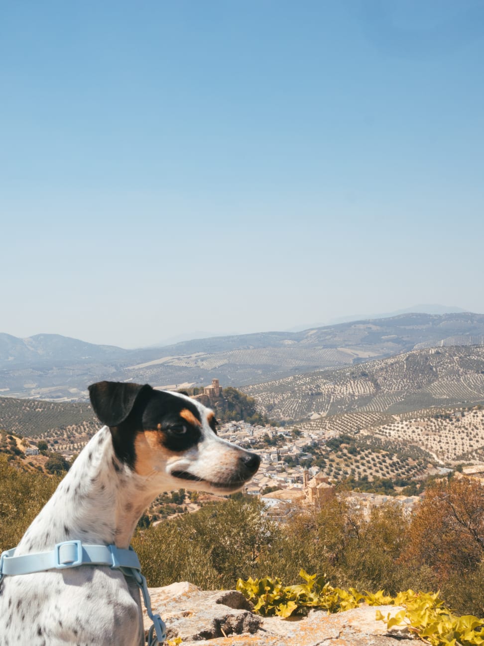 LAS 10 MEJORES EXCURSIONES DESDE GRANADA