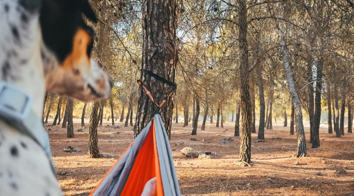 maleta para viajar en otoño, turismo responsable, beneficios de viajar, alojamiento pet friendly, off-grid