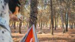 maleta para viajar en otoño, turismo responsable, beneficios de viajar, alojamiento pet friendly, off-grid