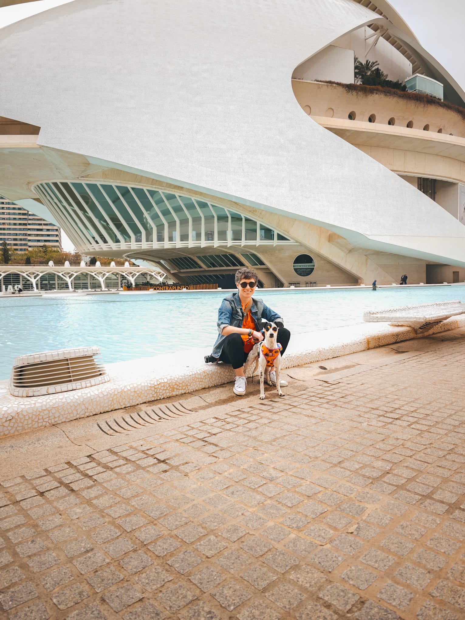 VIAJAR CON PERRO: GUÍA PRÁCTICA