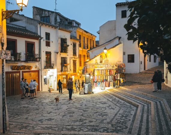 qué ver en Granada con perro